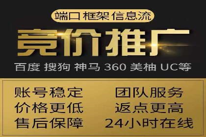 竞价托管服务案例解析