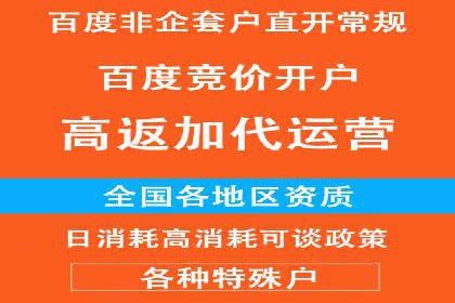 百度竞价代运营助力企业快速抢占市场